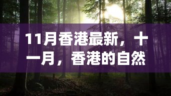 香港十一月自然之旅，綠色懷抱中的心靈尋覓