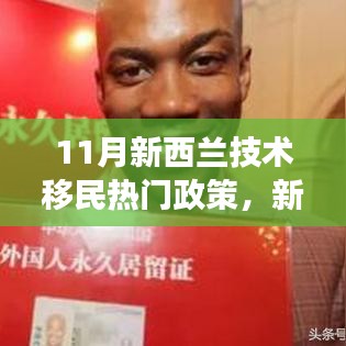 新西蘭技術(shù)移民政策深度解讀,最新動(dòng)態(tài)與全面評(píng)測(cè)(11月版)