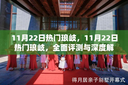 11月22日熱門瑯岐，全面評測與深度解析