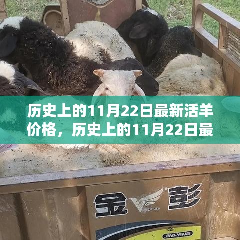 歷史上的11月22日活羊價格深度評測與介紹，最新價格及市場分析