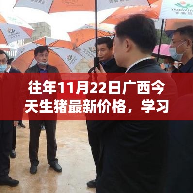 廣西生豬最新價格動態，見證躍升的力量，成長之路精彩紛呈