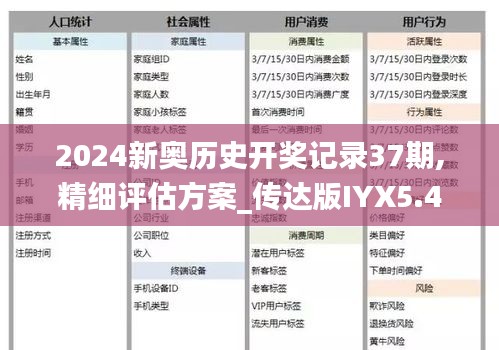 2024新奧歷史開獎記錄37期,精細(xì)評估方案_傳達(dá)版IYX5.41