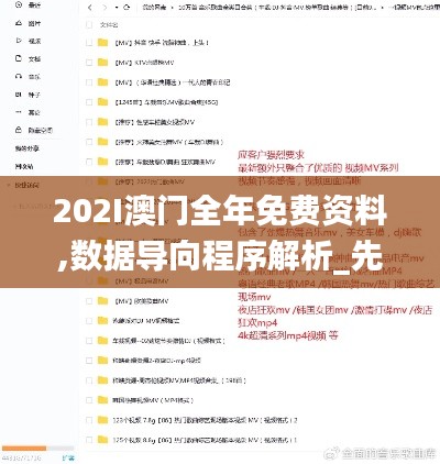 202I澳門全年免費資料,數據導向程序解析_先鋒版DTU5.54