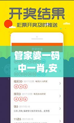 管家婆一碼中一肖,安全設計方案評估_采購版TEB5.40