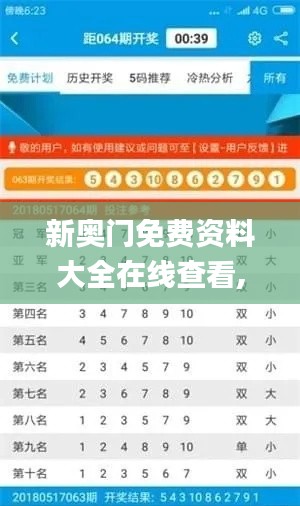 新奧門免費資料大全在線查看,具象化表達解說_限量版HEQ5.94