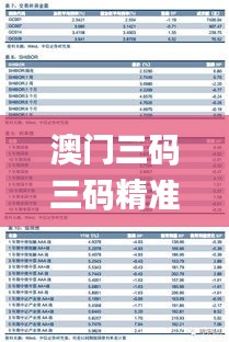 澳門三碼三碼精準100%,全身心數據計劃_深度版WZX5.63
