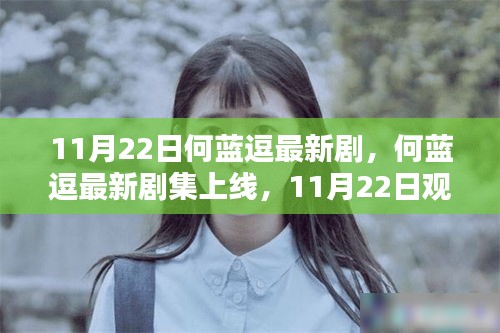 何藍(lán)逗最新劇集上線指南,11月22日觀看攻略,適合初學(xué)者與進(jìn)階用戶全攻略!