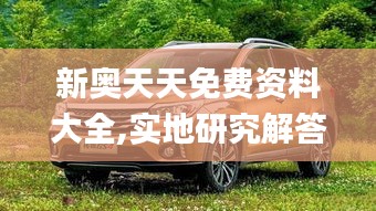 新奧天天免費資料大全,實地研究解答協助_用心版RQU5.58