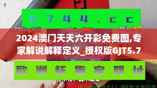 2024澳門天天六開彩免費圖,專家解說解釋定義_授權版GJT5.72