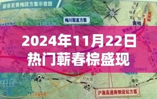 蘄春棕盛2024年11月22日現(xiàn)狀揭秘,日常溫馨與奇遇