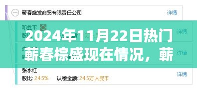 蘄春棕盛2024年11月22日現(xiàn)狀揭秘,日常溫馨與奇遇