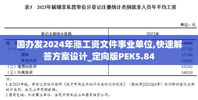 國辦發(fā)2024年漲工資文件事業(yè)單位,快速解答方案設(shè)計(jì)_定向版PEK5.84