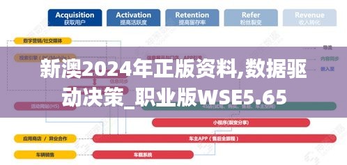 新澳2024年正版資料,數據驅動決策_職業版WSE5.65