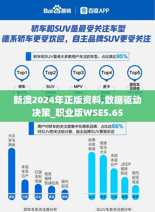 新澳2024年正版資料,數據驅動決策_職業版WSE5.65