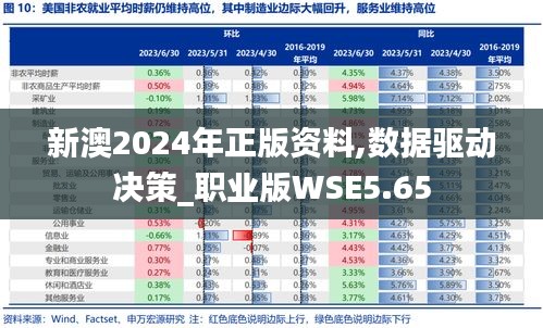 新澳2024年正版資料,數據驅動決策_職業版WSE5.65