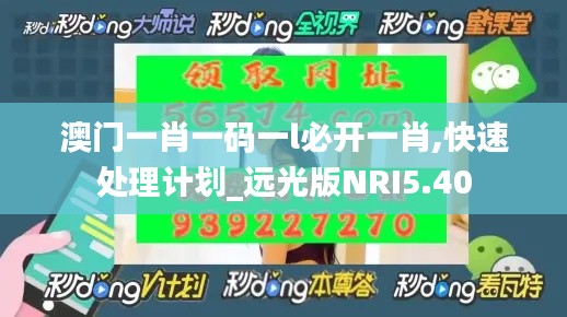 澳門一肖一碼一l必開一肖,快速處理計劃_遠光版NRI5.40