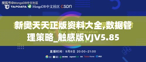 新奧天天正版資料大全,數(shù)據(jù)管理策略_觸感版VJV5.85