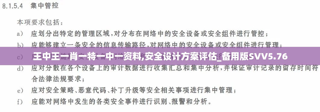 王中王一肖一特一中一資料,安全設(shè)計方案評估_備用版SVV5.76