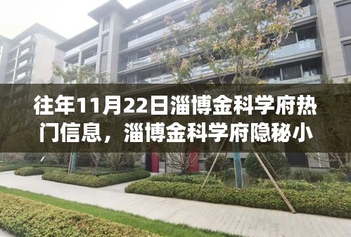 獨(dú)家探秘之旅，淄博金科學(xué)府隱秘小巷的美食秘境揭秘（往年11月22日）