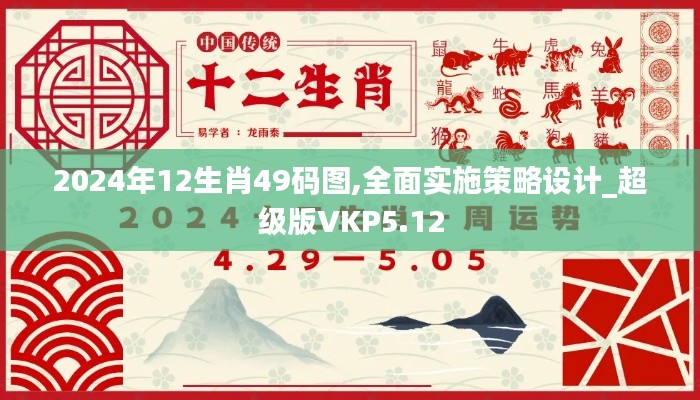 2024年12生肖49碼圖,全面實施策略設計_超級版VKP5.12