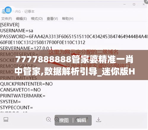 7777888888管家婆精準(zhǔn)一肖中管家,數(shù)據(jù)解析引導(dǎo)_迷你版HOJ5.15