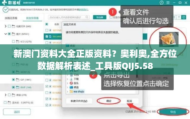 新澳門資料大全正版資料?奧利奧,全方位數(shù)據(jù)解析表述_工具版QIJ5.58