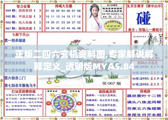 正版二四六玄機資料圖,專家解說解釋定義_透明版MYA5.84