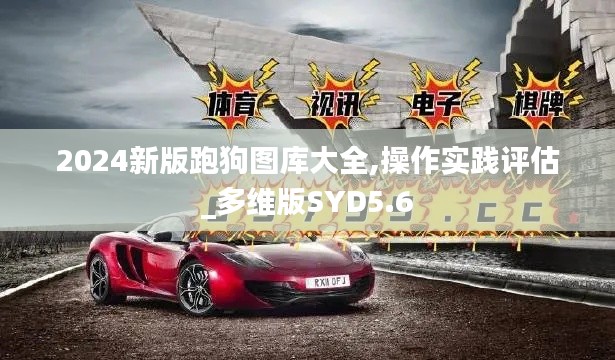 2024新版跑狗圖庫大全,操作實踐評估_多維版SYD5.6