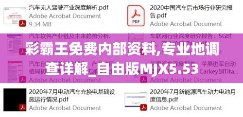 彩霸王免費內部資料,專業地調查詳解_自由版MJX5.53