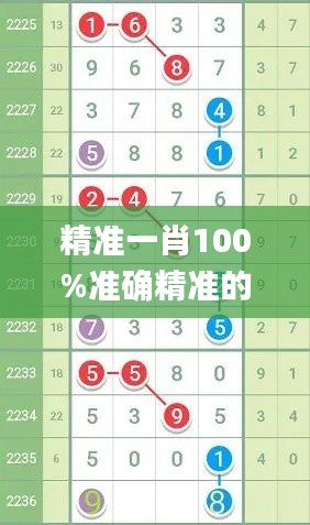 精準(zhǔn)一肖100%準(zhǔn)確精準(zhǔn)的含義,全盤細(xì)明說明_安全版RYC5.61