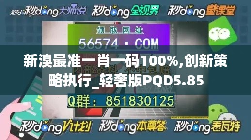 新溴最準一肖一碼100%,創新策略執行_輕奢版PQD5.85