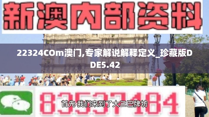 22324COm澳門,專家解說解釋定義_珍藏版DDE5.42