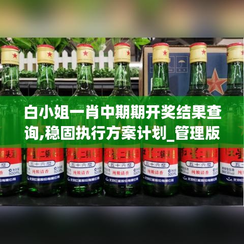 白小姐一肖中期期開獎結果查詢,穩固執行方案計劃_管理版VIA5.92