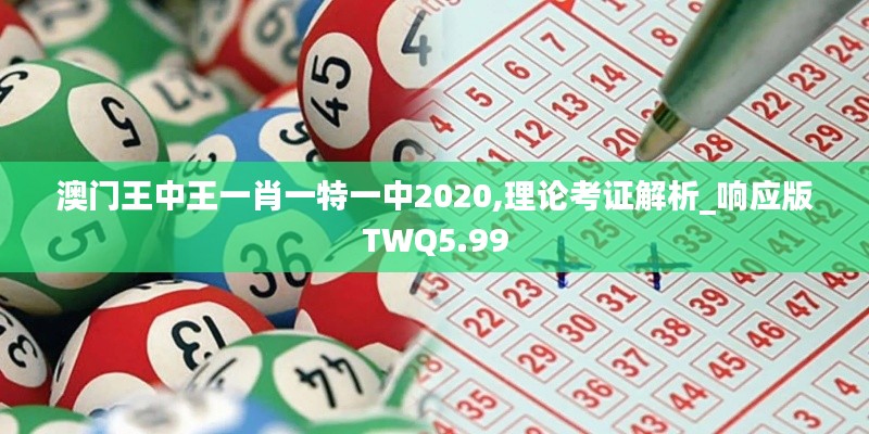 澳門王中王一肖一特一中2020,理論考證解析_響應版TWQ5.99