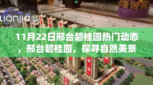 邢臺碧桂園，探尋自然美景的心靈寧靜之旅（11月22日熱門動態(tài)）