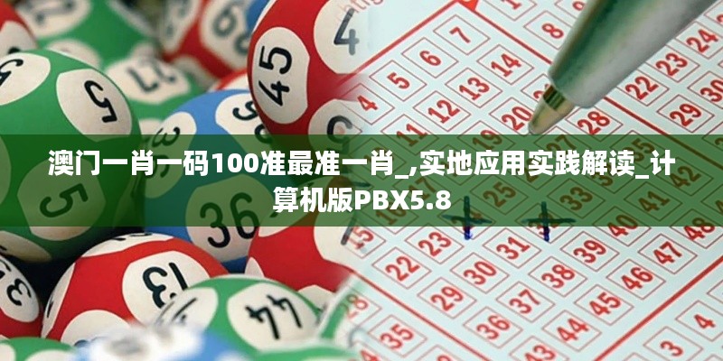 澳門一肖一碼100準最準一肖_,實地應用實踐解讀_計算機版PBX5.8