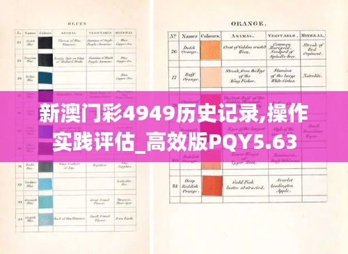 新澳門彩4949歷史記錄,操作實踐評估_高效版PQY5.63