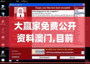 大贏家免費公開資料澳門,目前現象解析描述_界面版DEY5.59