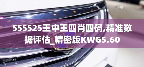 555525王中王四肖四碼,精準數據評估_精密版KWG5.60