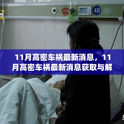 11月高密車禍最新消息解讀與獲取指南,適用于初學者與進階用戶