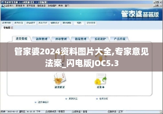管家婆2024資料圖片大全,專家意見法案_閃電版JOC5.3