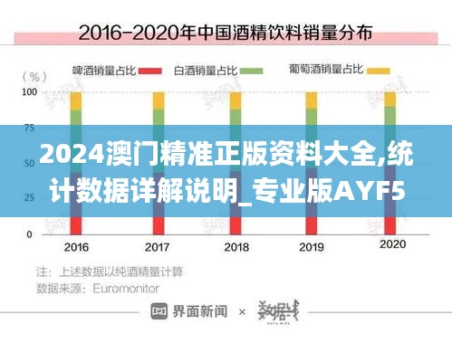 2024澳門精準正版資料大全,統計數據詳解說明_專業版AYF5.11