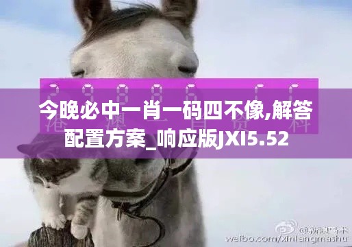 今晚必中一肖一碼四不像,解答配置方案_響應版JXI5.52