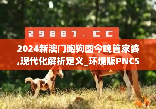 2024新澳門跑狗圖今晚管家婆,現代化解析定義_環境版PNC5.51