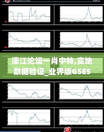 濠江論壇一肖中特,實地數據驗證_業界版GSE5.84