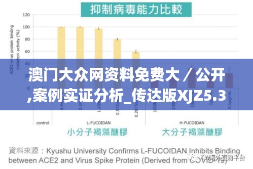 澳門大眾網(wǎng)資料免費大/公開,案例實證分析_傳達版XJZ5.30