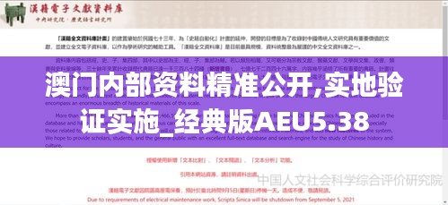 澳門內部資料精準公開,實地驗證實施_經典版AEU5.38