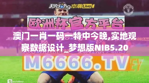 澳門一肖一碼一特中今晚,實地觀察數據設計_夢想版NIB5.20