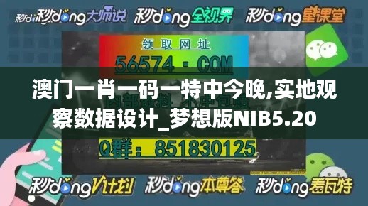 澳門一肖一碼一特中今晚,實地觀察數據設計_夢想版NIB5.20