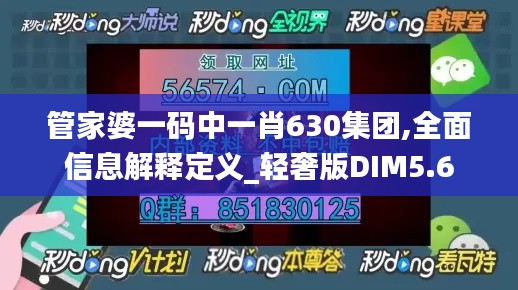 管家婆一碼中一肖630集團,全面信息解釋定義_輕奢版DIM5.6